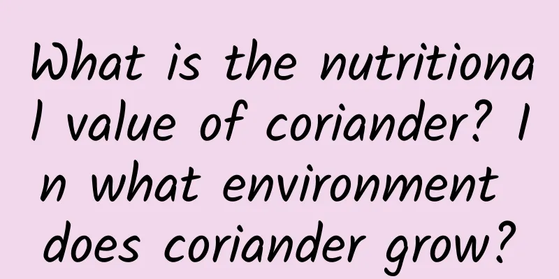 What is the nutritional value of coriander? In what environment does coriander grow?