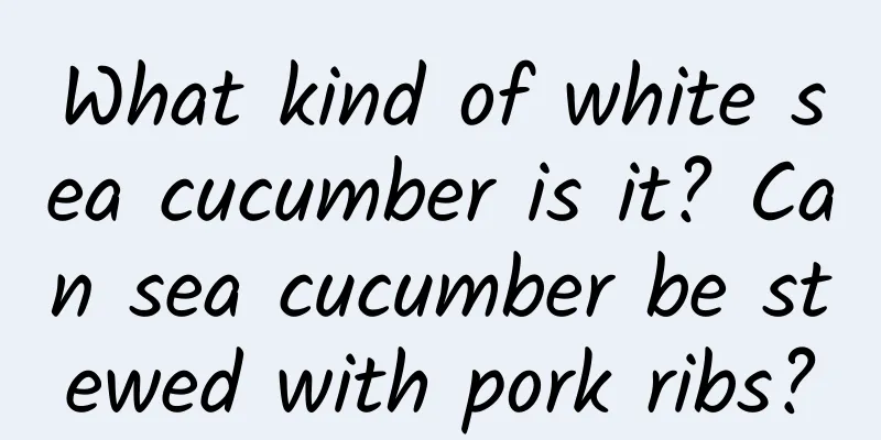 What kind of white sea cucumber is it? Can sea cucumber be stewed with pork ribs?
