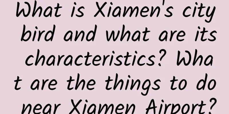 What is Xiamen's city bird and what are its characteristics? What are the things to do near Xiamen Airport?