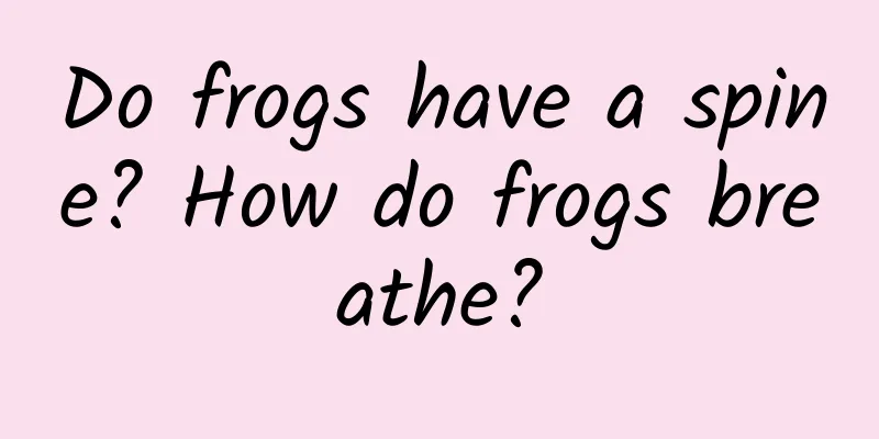 Do frogs have a spine? How do frogs breathe?