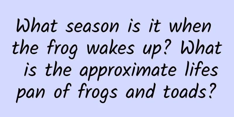 What season is it when the frog wakes up? What is the approximate lifespan of frogs and toads?