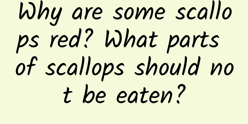 Why are some scallops red? What parts of scallops should not be eaten?