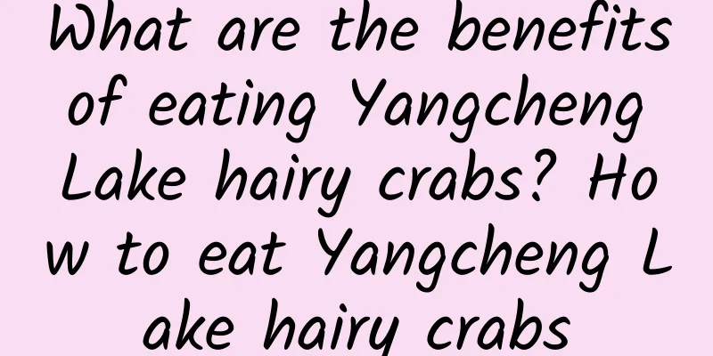 What are the benefits of eating Yangcheng Lake hairy crabs? How to eat Yangcheng Lake hairy crabs