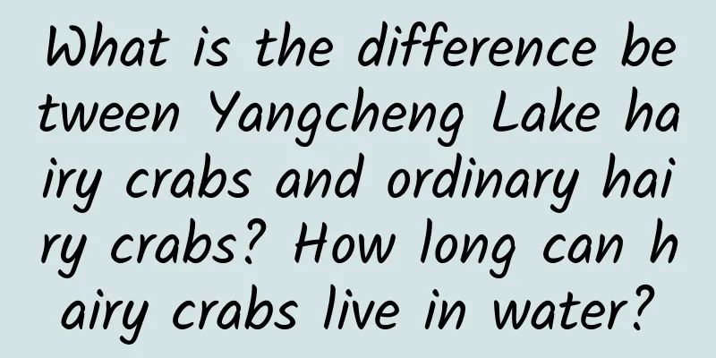 What is the difference between Yangcheng Lake hairy crabs and ordinary hairy crabs? How long can hairy crabs live in water?