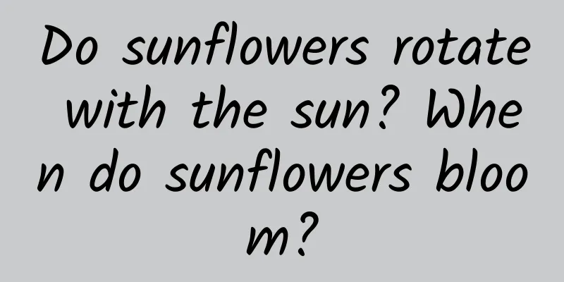 Do sunflowers rotate with the sun? When do sunflowers bloom?