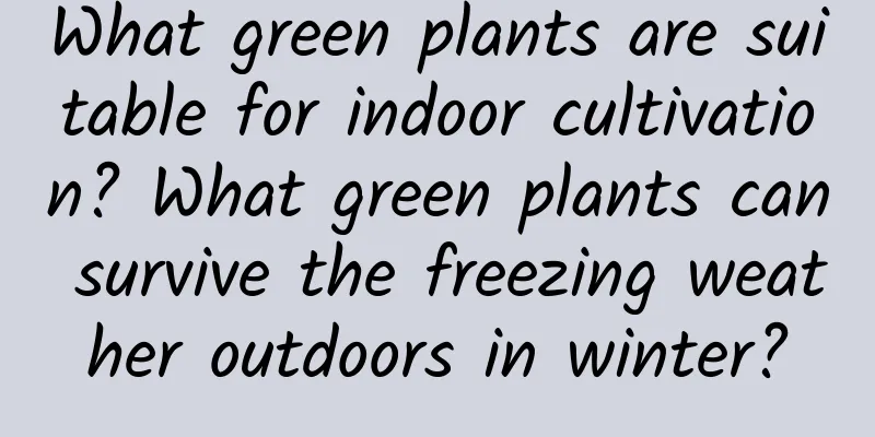What green plants are suitable for indoor cultivation? What green plants can survive the freezing weather outdoors in winter?
