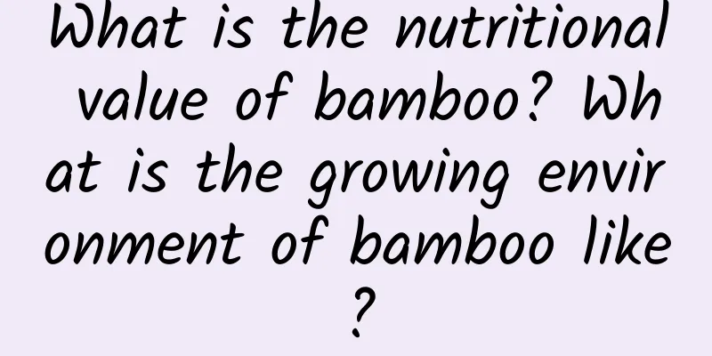 What is the nutritional value of bamboo? What is the growing environment of bamboo like?