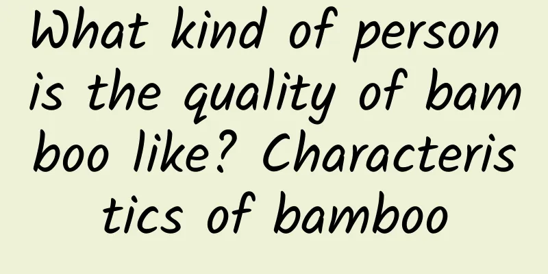What kind of person is the quality of bamboo like? Characteristics of bamboo