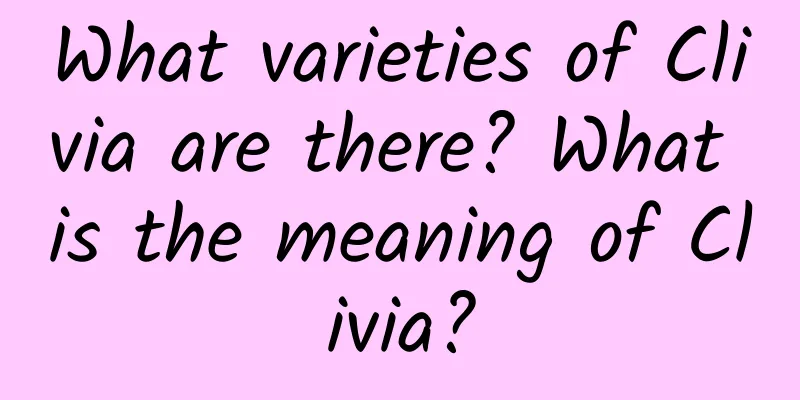 What varieties of Clivia are there? What is the meaning of Clivia?