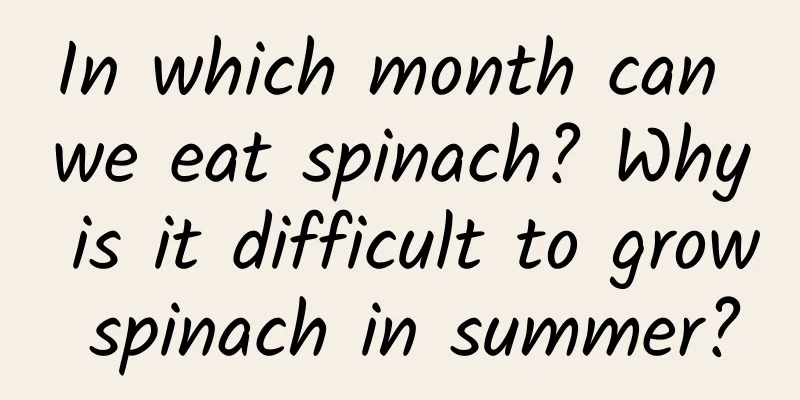 In which month can we eat spinach? Why is it difficult to grow spinach in summer?
