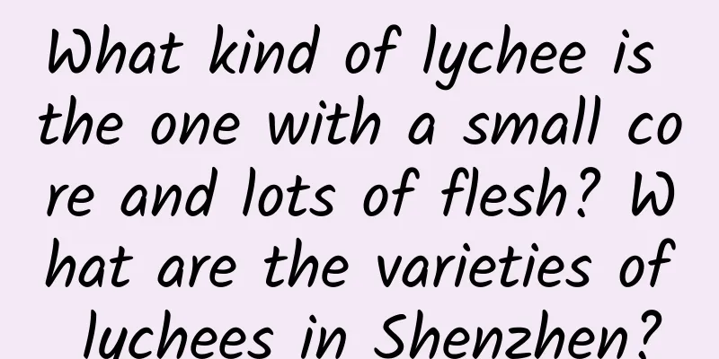 What kind of lychee is the one with a small core and lots of flesh? What are the varieties of lychees in Shenzhen?