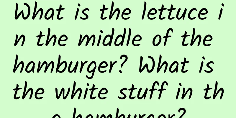 What is the lettuce in the middle of the hamburger? What is the white stuff in the hamburger?