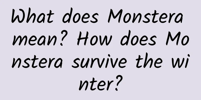 What does Monstera mean? How does Monstera survive the winter?