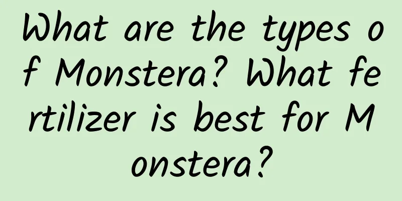 What are the types of Monstera? What fertilizer is best for Monstera?