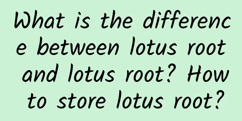 What is the difference between lotus root and lotus root? How to store lotus root?