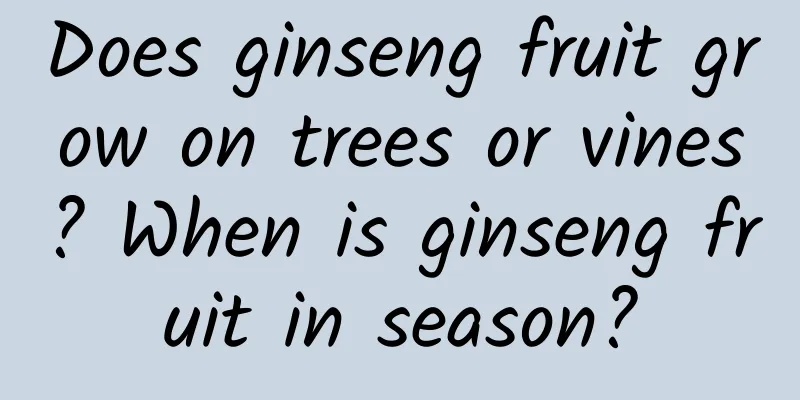Does ginseng fruit grow on trees or vines? When is ginseng fruit in season?