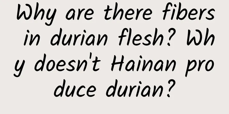 Why are there fibers in durian flesh? Why doesn't Hainan produce durian?