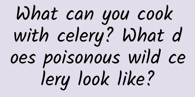 What can you cook with celery? What does poisonous wild celery look like?