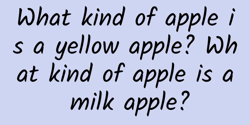 What kind of apple is a yellow apple? What kind of apple is a milk apple?