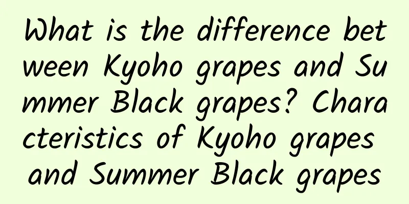 What is the difference between Kyoho grapes and Summer Black grapes? Characteristics of Kyoho grapes and Summer Black grapes