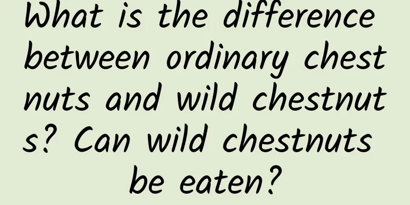 What is the difference between ordinary chestnuts and wild chestnuts? Can wild chestnuts be eaten?