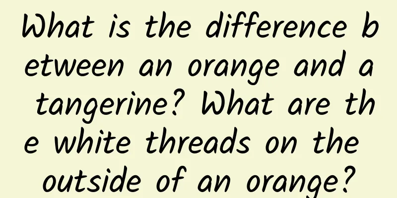 What is the difference between an orange and a tangerine? What are the white threads on the outside of an orange?