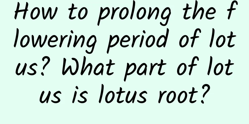 How to prolong the flowering period of lotus? What part of lotus is lotus root?