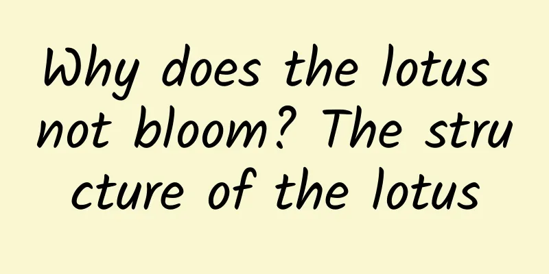 Why does the lotus not bloom? The structure of the lotus