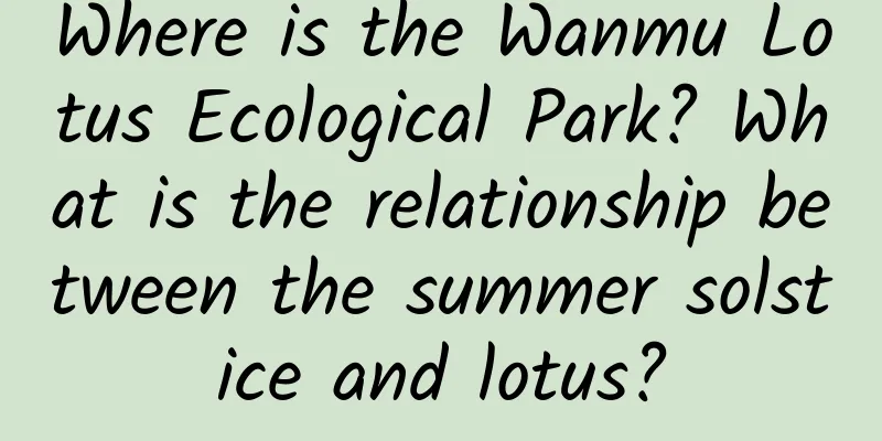Where is the Wanmu Lotus Ecological Park? What is the relationship between the summer solstice and lotus?