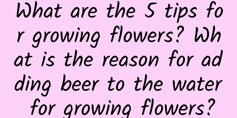 What are the 5 tips for growing flowers? What is the reason for adding beer to the water for growing flowers?
