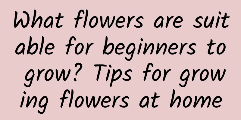 What flowers are suitable for beginners to grow? Tips for growing flowers at home