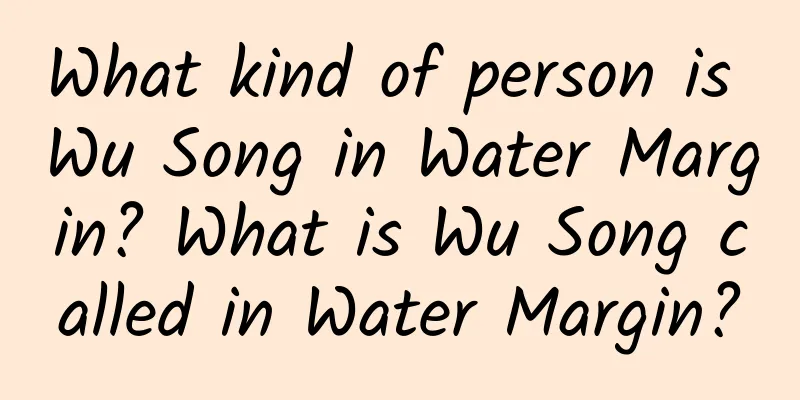What kind of person is Wu Song in Water Margin? What is Wu Song called in Water Margin?