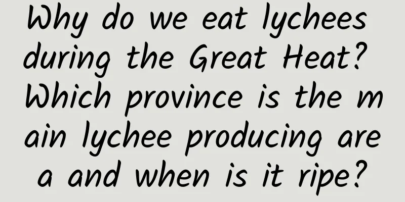 Why do we eat lychees during the Great Heat? Which province is the main lychee producing area and when is it ripe?