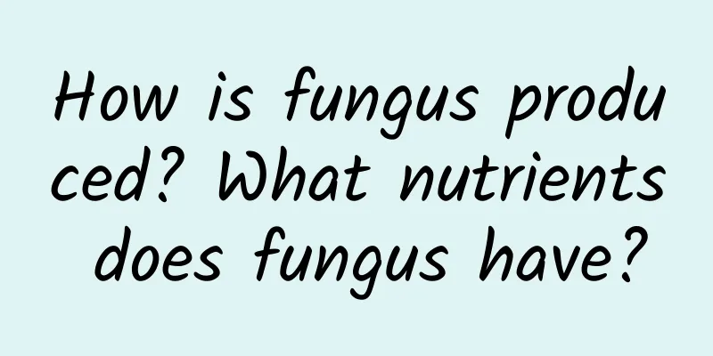 How is fungus produced? What nutrients does fungus have?