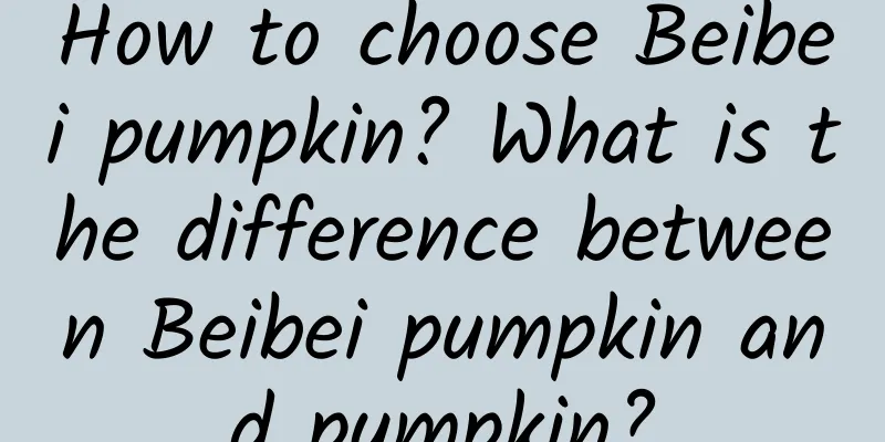 How to choose Beibei pumpkin? What is the difference between Beibei pumpkin and pumpkin?