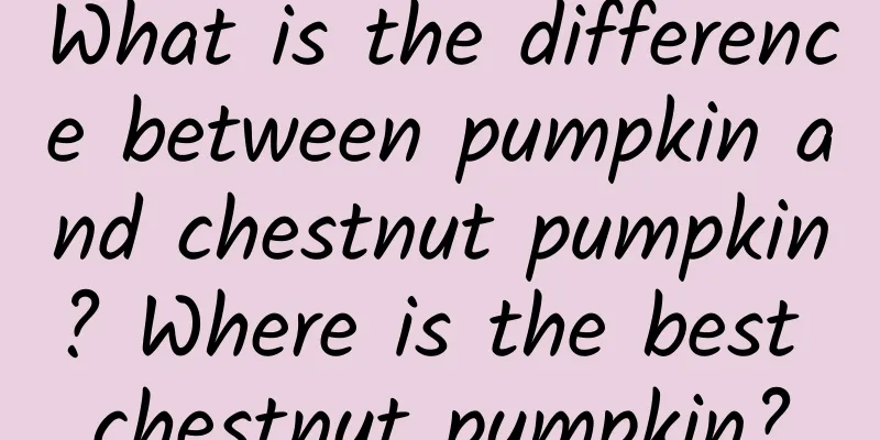 What is the difference between pumpkin and chestnut pumpkin? Where is the best chestnut pumpkin?