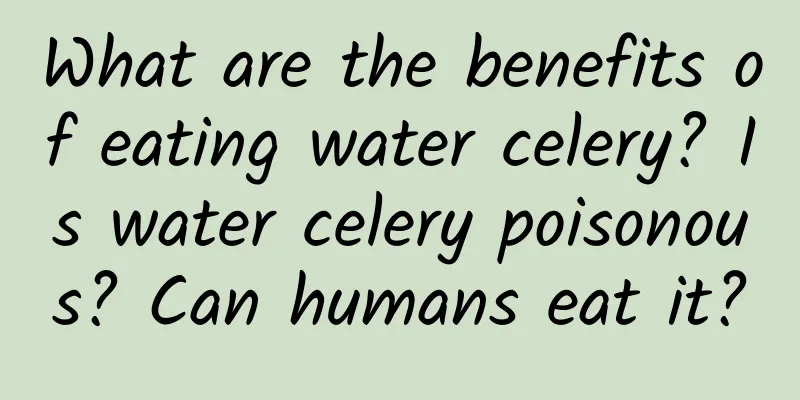 What are the benefits of eating water celery? Is water celery poisonous? Can humans eat it?