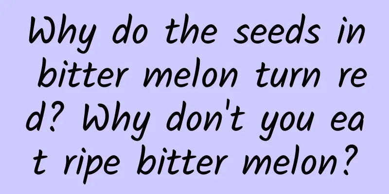 Why do the seeds in bitter melon turn red? Why don't you eat ripe bitter melon?
