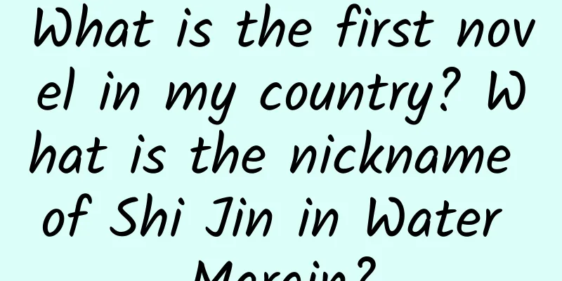 What is the first novel in my country? What is the nickname of Shi Jin in Water Margin?
