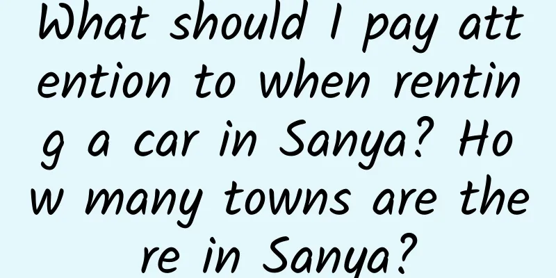 What should I pay attention to when renting a car in Sanya? How many towns are there in Sanya?