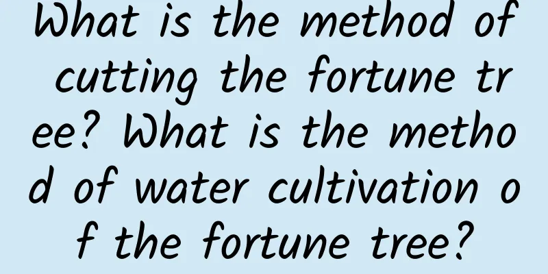 What is the method of cutting the fortune tree? What is the method of water cultivation of the fortune tree?