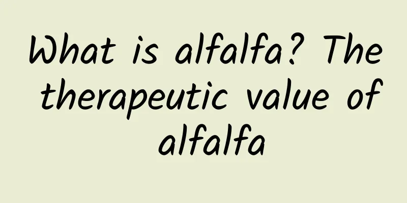 What is alfalfa? The therapeutic value of alfalfa
