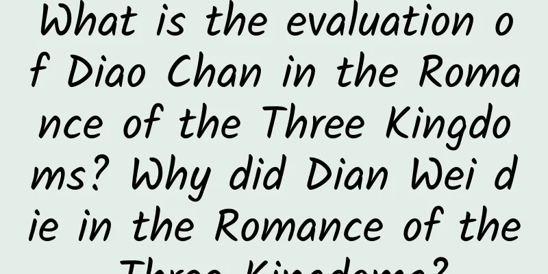 What is the evaluation of Diao Chan in the Romance of the Three Kingdoms? Why did Dian Wei die in the Romance of the Three Kingdoms?