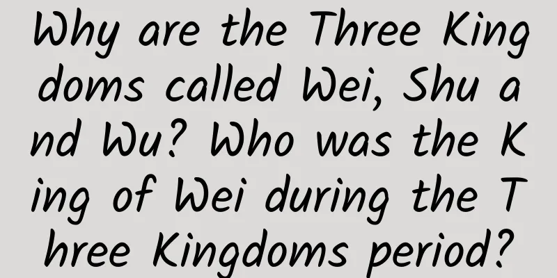 Why are the Three Kingdoms called Wei, Shu and Wu? Who was the King of Wei during the Three Kingdoms period?
