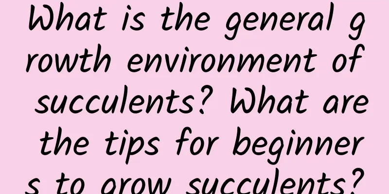 What is the general growth environment of succulents? What are the tips for beginners to grow succulents?