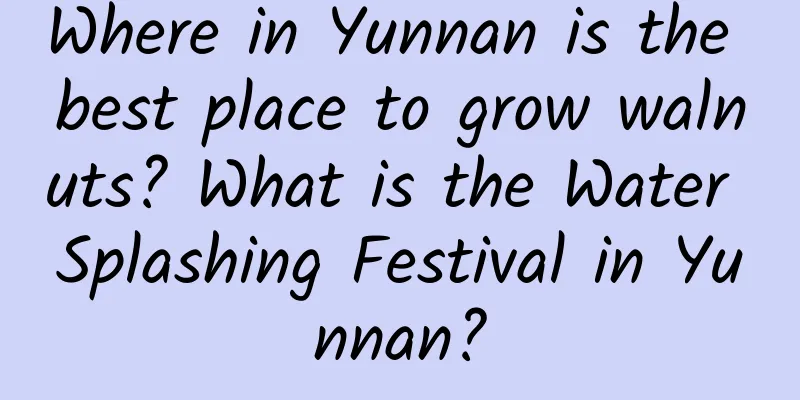 Where in Yunnan is the best place to grow walnuts? What is the Water Splashing Festival in Yunnan?