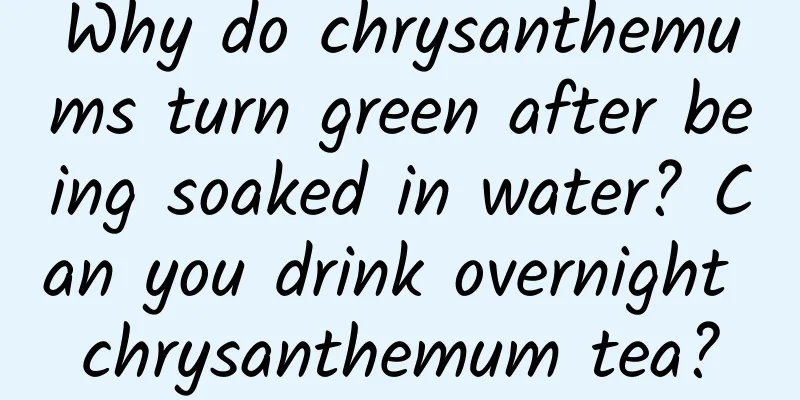 Why do chrysanthemums turn green after being soaked in water? Can you drink overnight chrysanthemum tea?