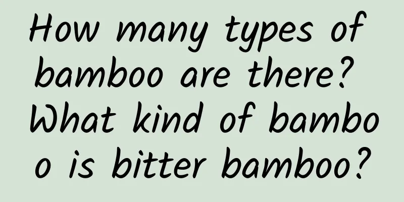 How many types of bamboo are there? What kind of bamboo is bitter bamboo?