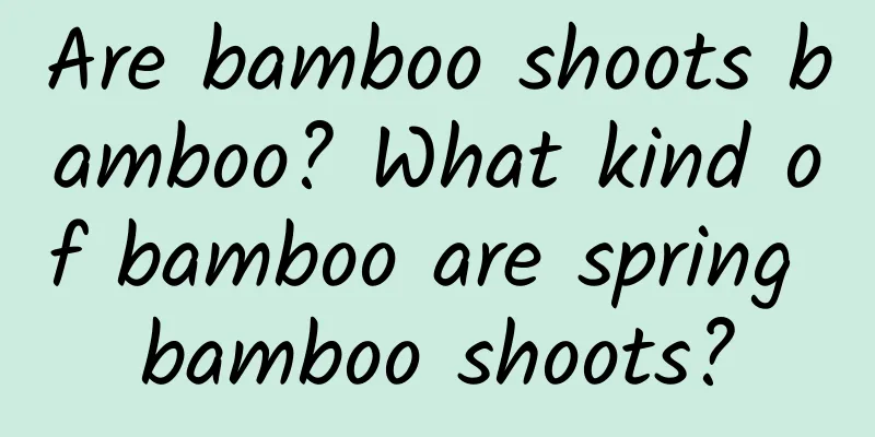Are bamboo shoots bamboo? What kind of bamboo are spring bamboo shoots?