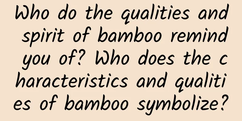 Who do the qualities and spirit of bamboo remind you of? Who does the characteristics and qualities of bamboo symbolize?